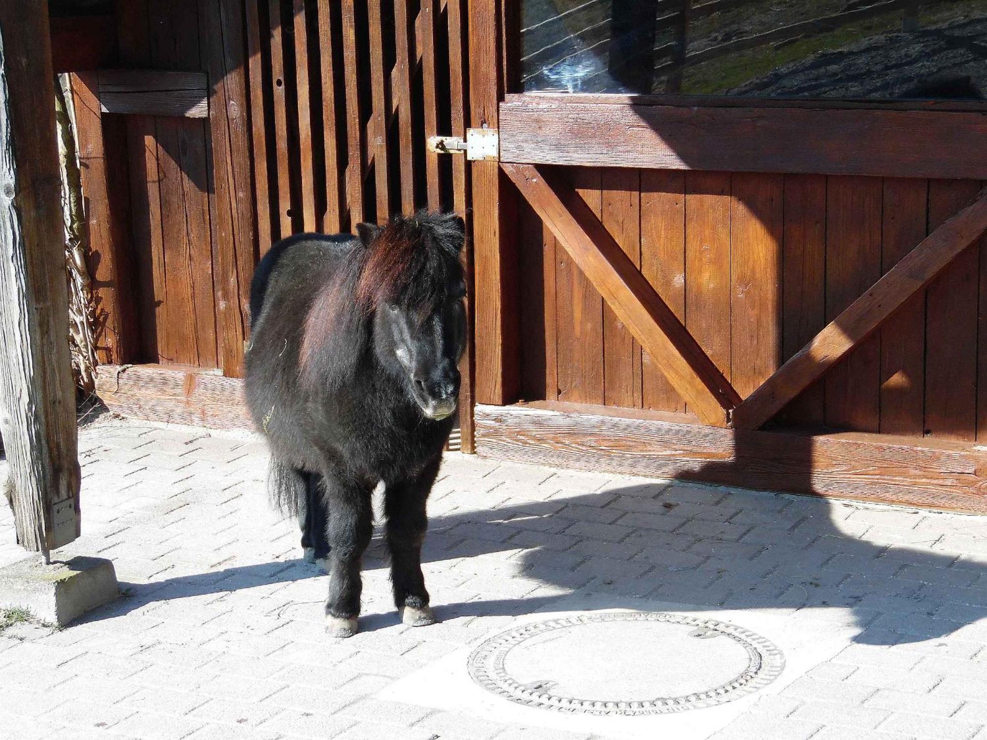 Ferienwohnungen Hog , ริงส์ไฮม์ ภายนอก รูปภาพ