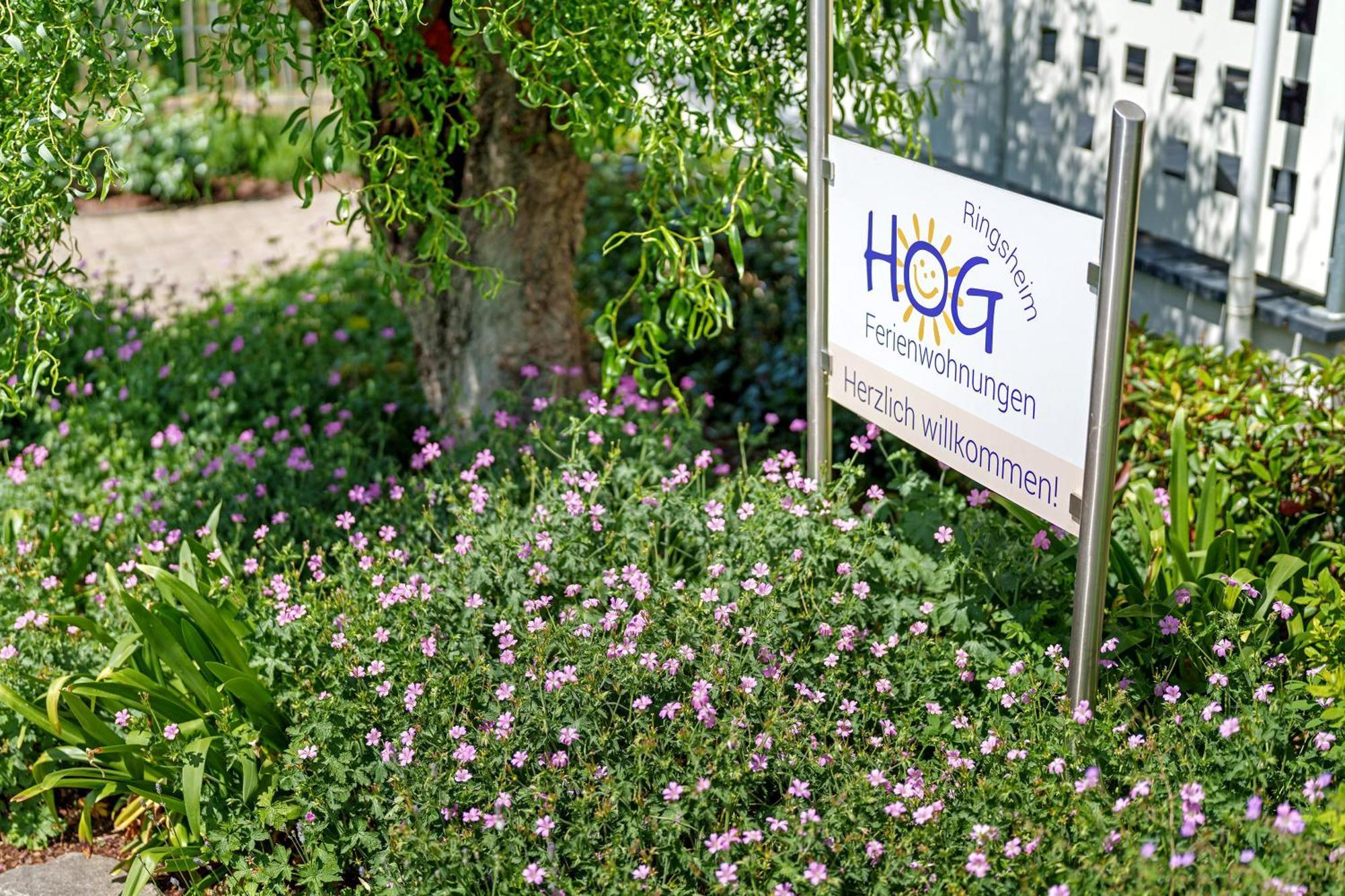 Ferienwohnungen Hog , ริงส์ไฮม์ ภายนอก รูปภาพ